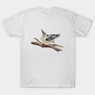 Tuning In - White-breasted Nuthatch T-Shirt